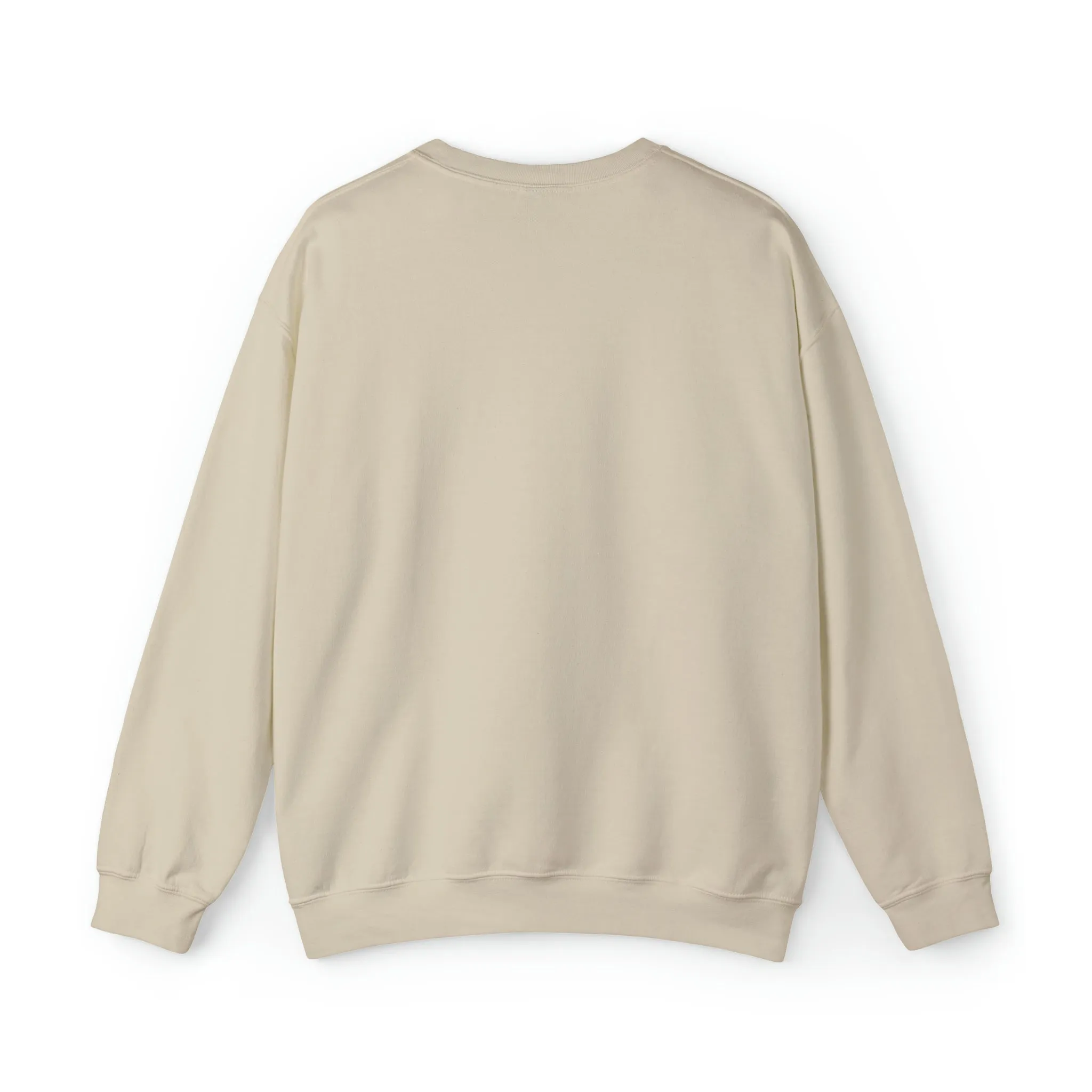 3Blues Designs |   Hazel Blues® |  Football Faux Chenille Sequin Patches Sweatshirt
