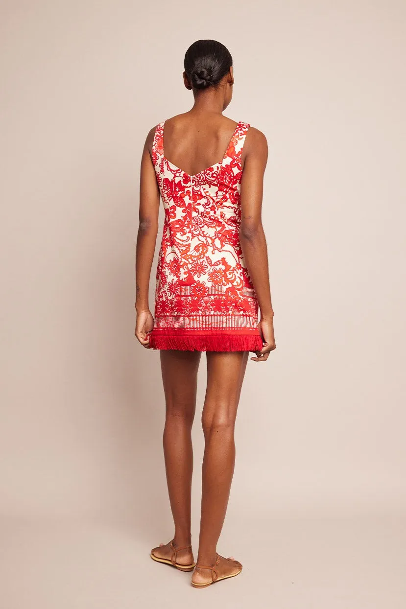 Cara Cara Anna Dress in Dentelle Coral