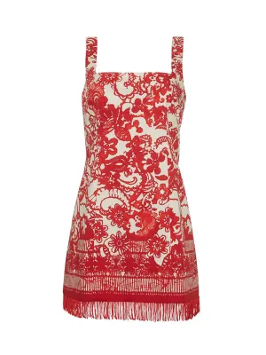 Cara Cara Anna Dress in Dentelle Coral