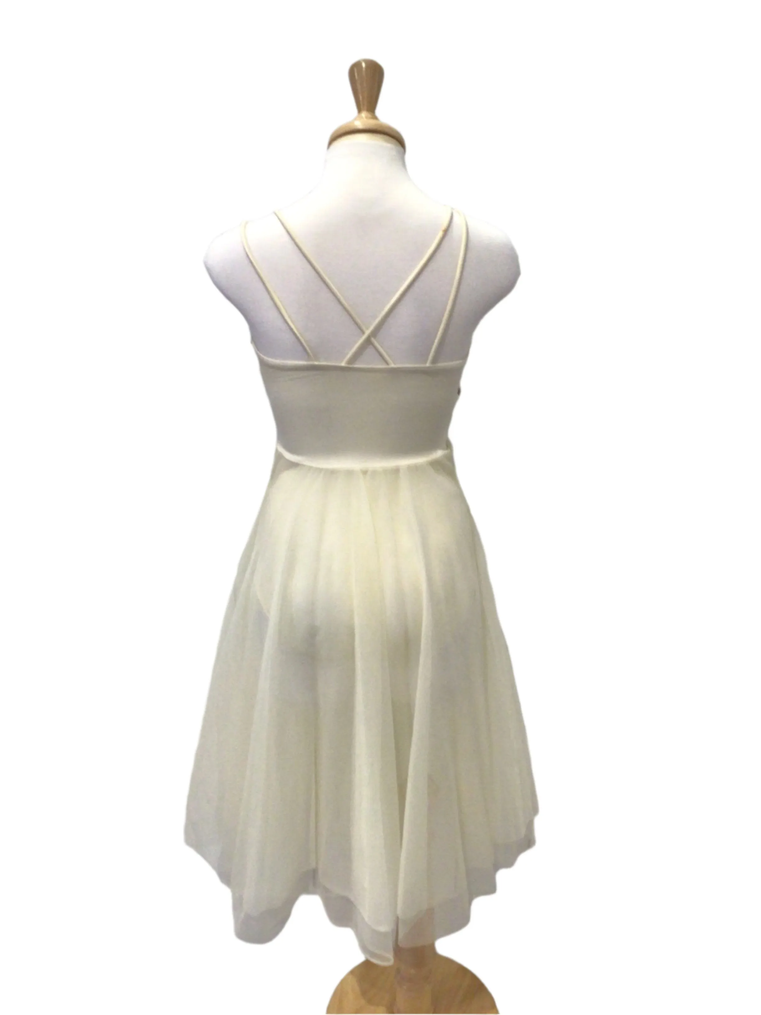 Cream and Bronze Ballet Dress