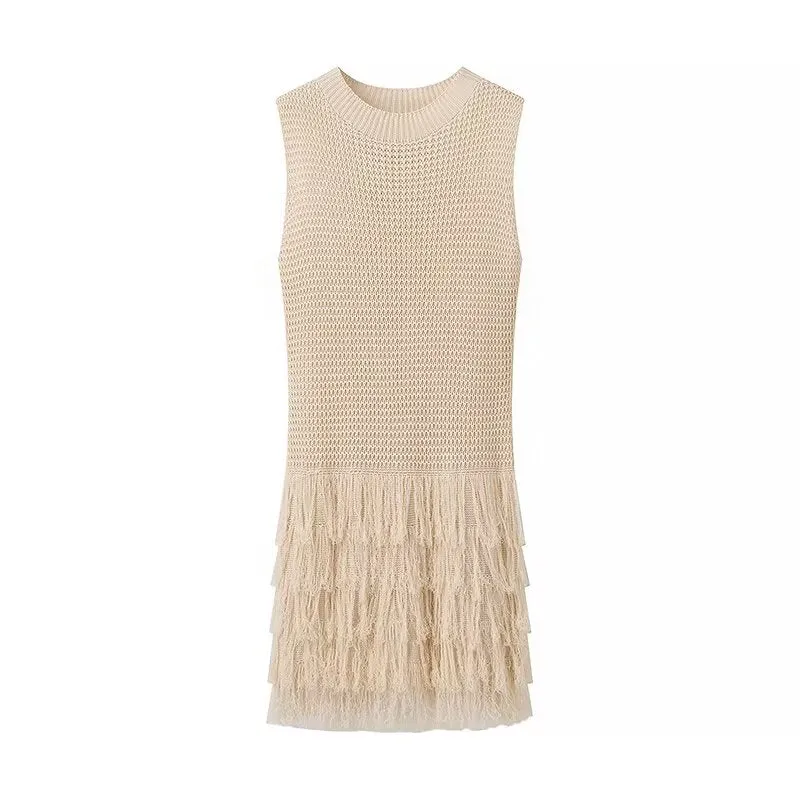 Crewneck Knit Fringe Trim Mini Dress