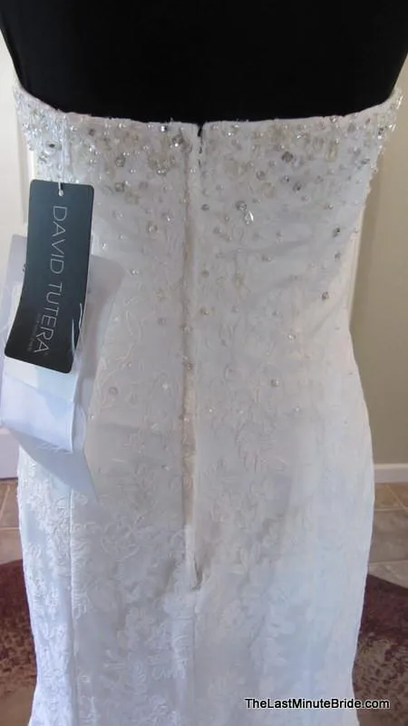 David Tutera Kelly 212242