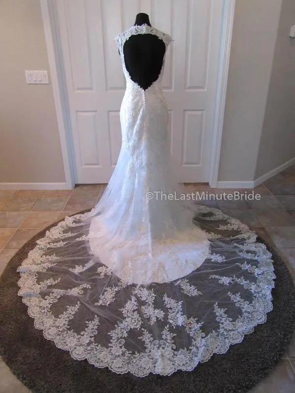Maggie Sottero Collins 6MT266 Size 14