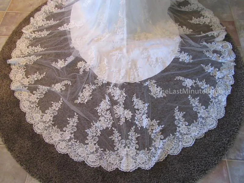 Maggie Sottero Collins 6MT266 Size 14