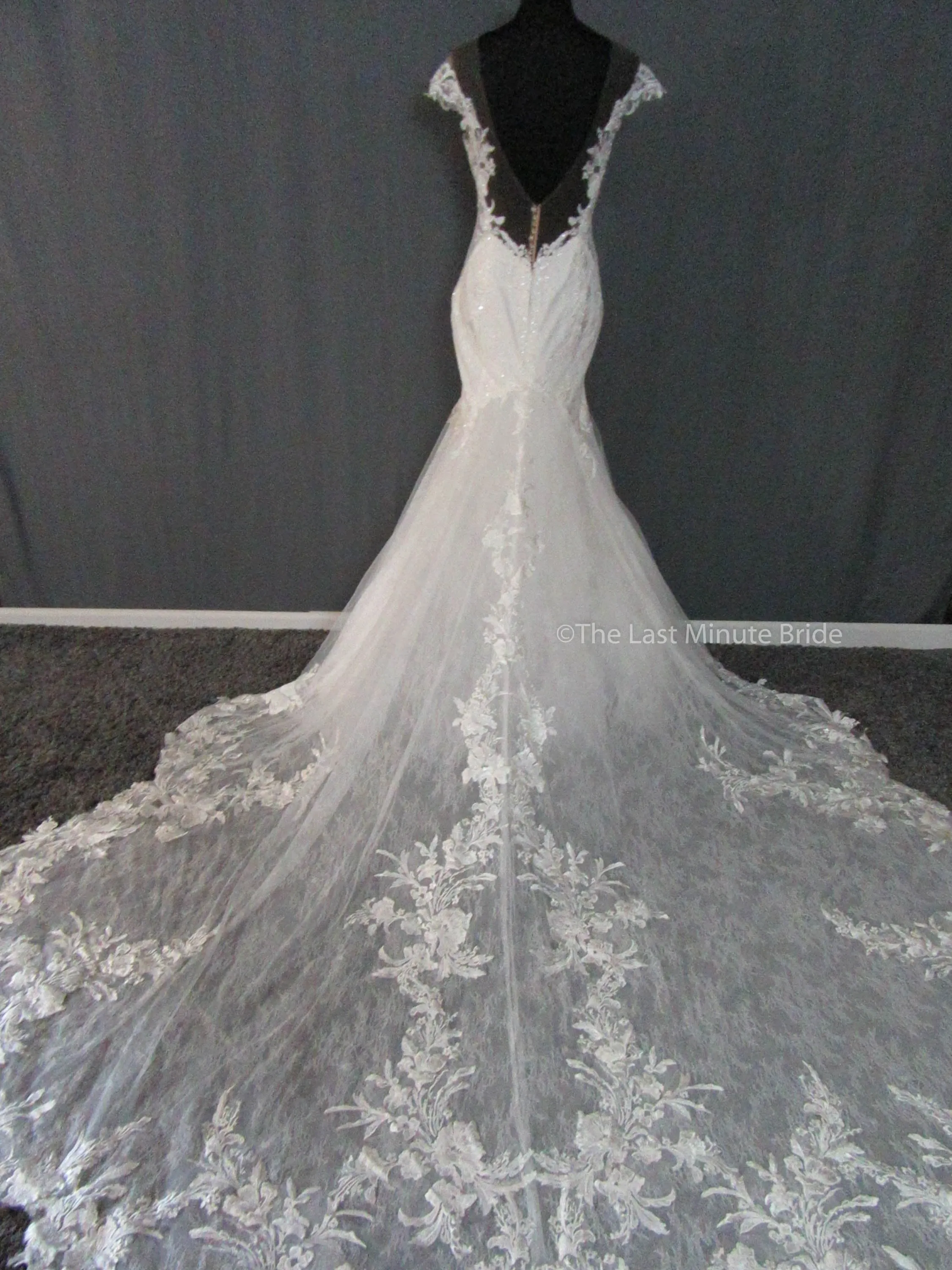 Martina Liana 1104 /ML1104