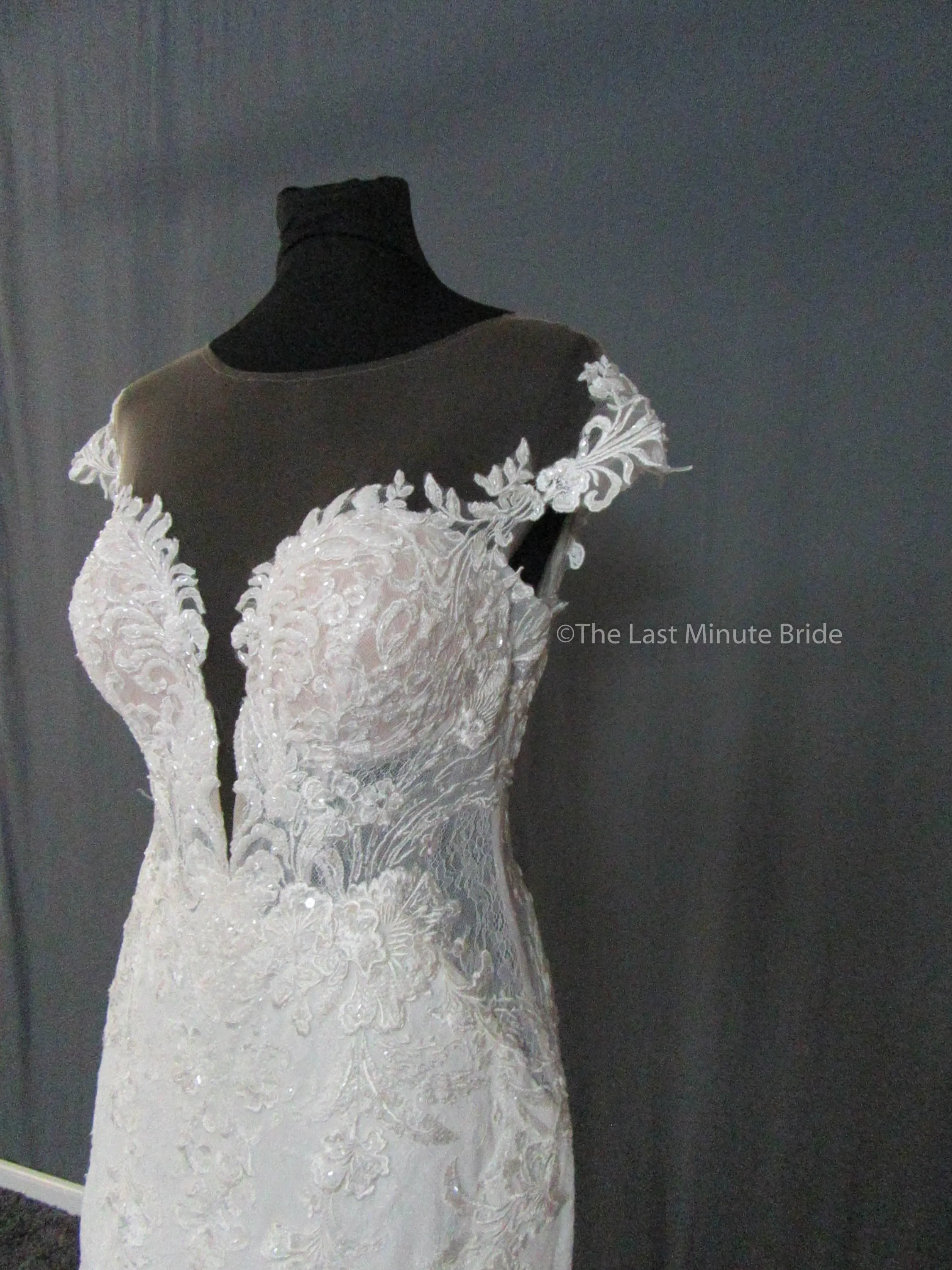 Martina Liana 1104 /ML1104