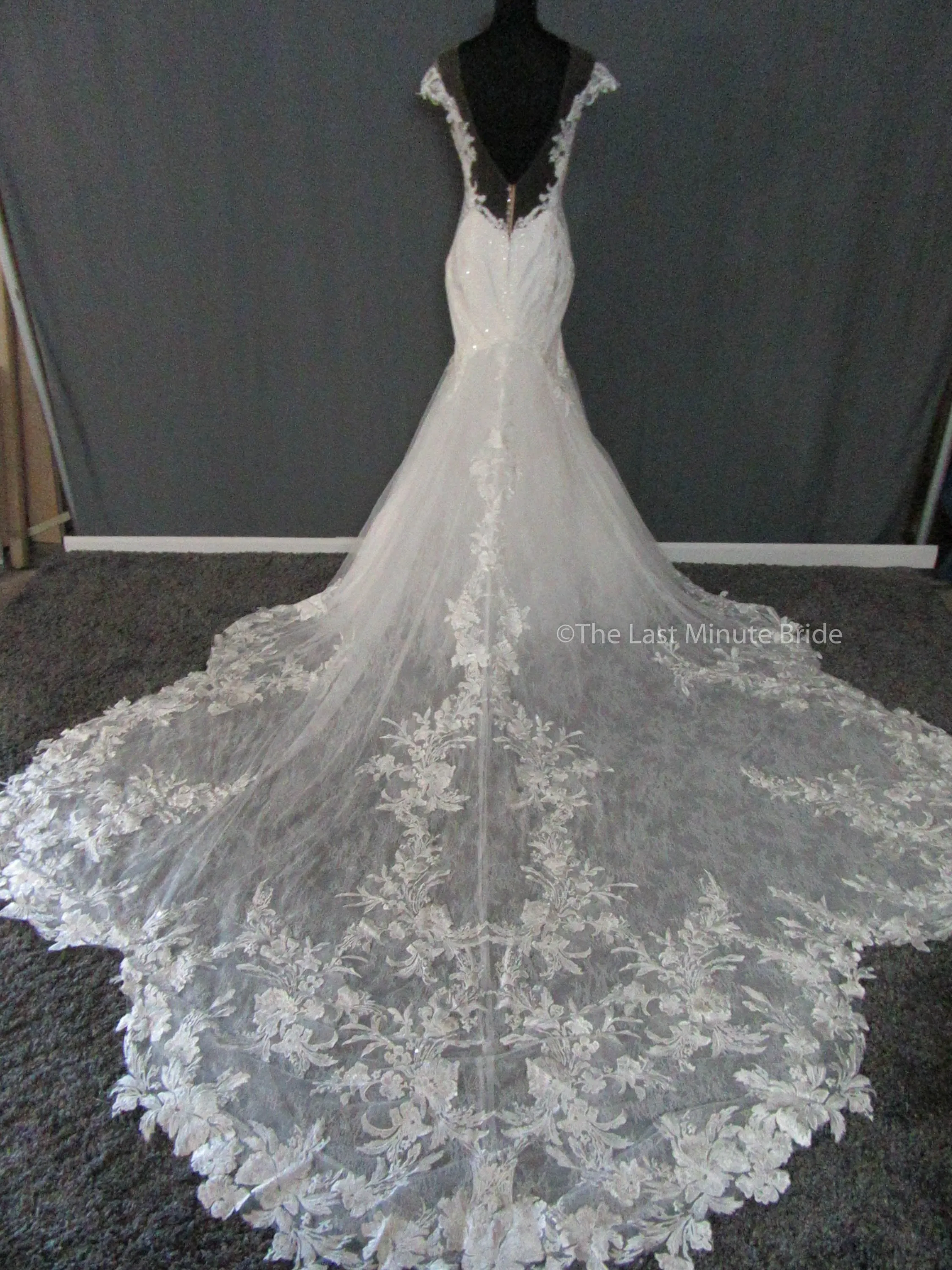 Martina Liana 1104 /ML1104