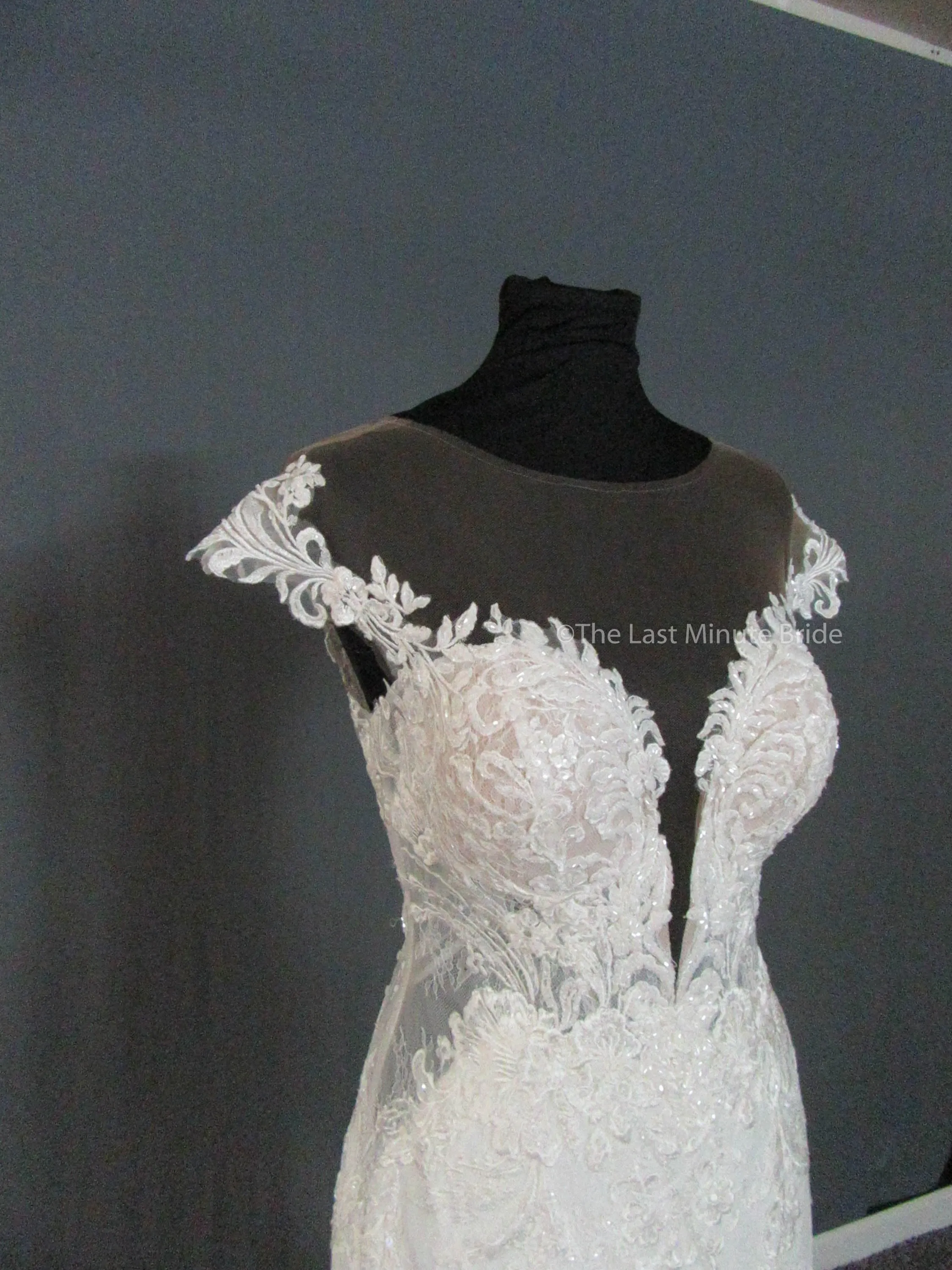 Martina Liana 1104 /ML1104