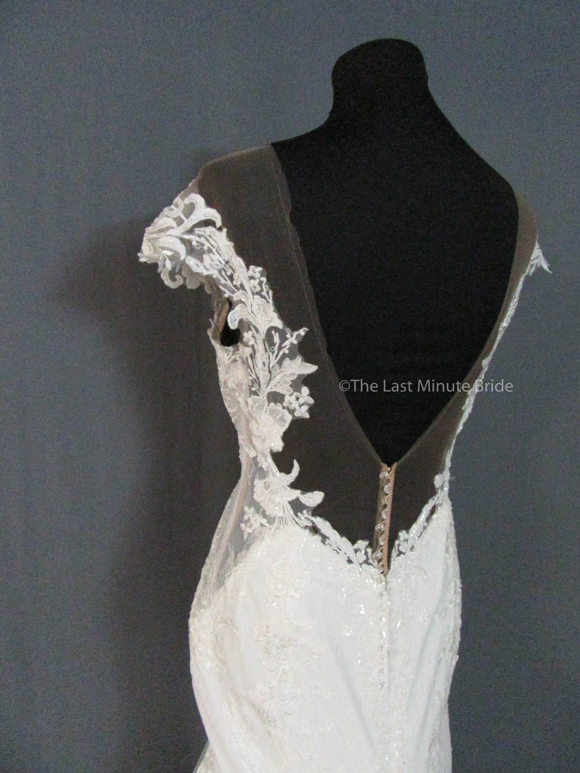 Martina Liana 1104 /ML1104