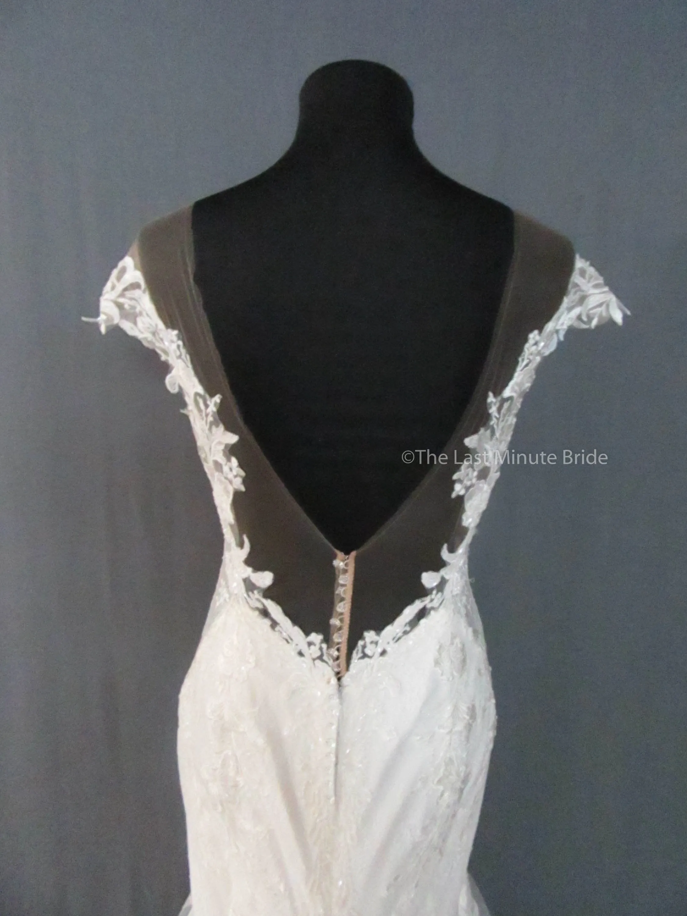 Martina Liana 1104 /ML1104