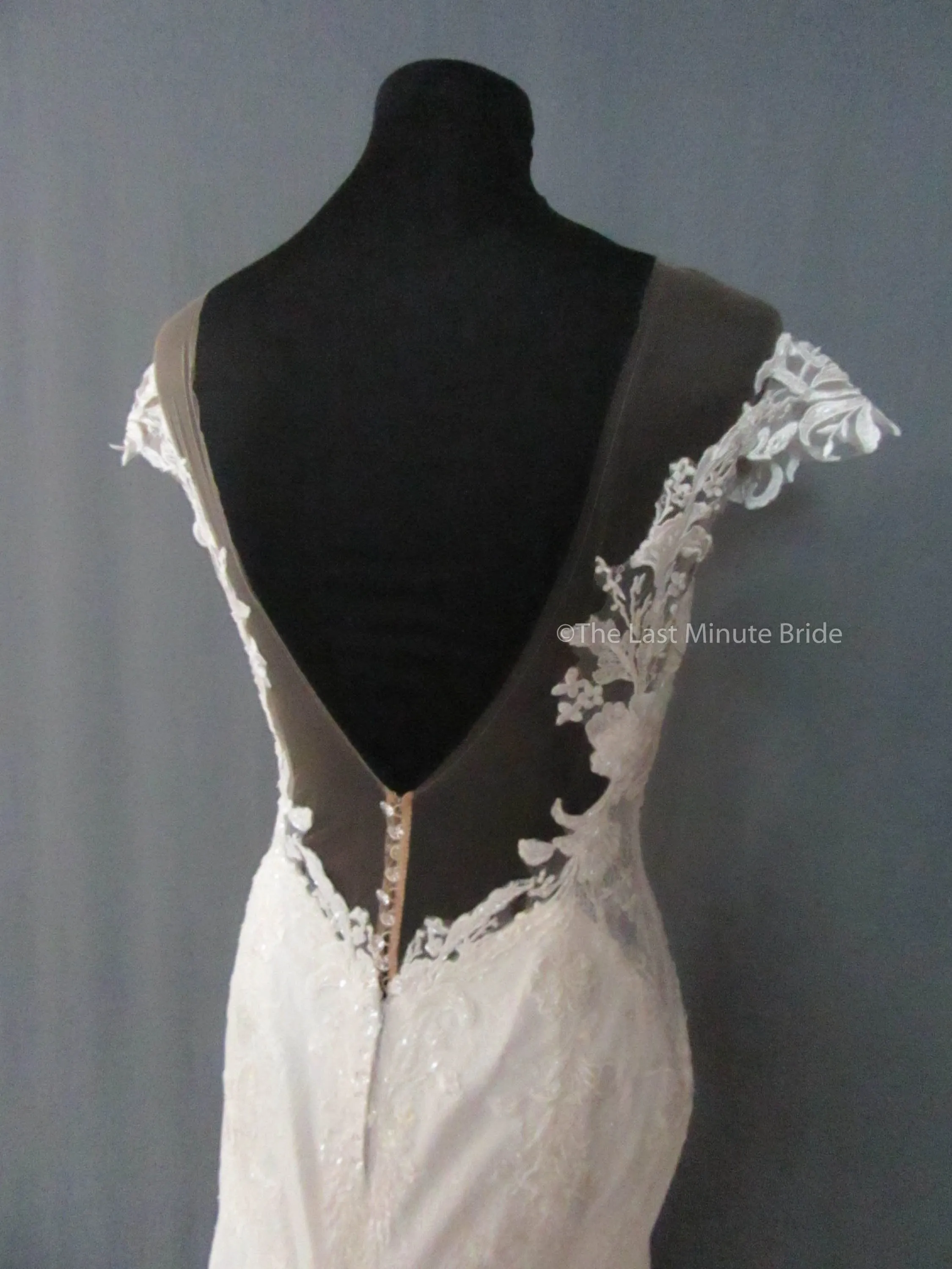 Martina Liana 1104 /ML1104