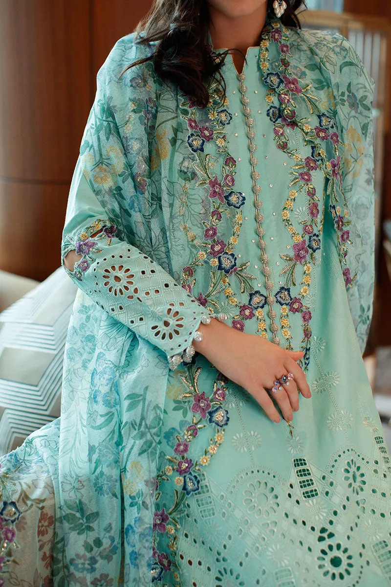 MUSHQ | ASTORIA | FESTIVE LAWN ’23 | OPAL