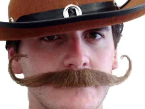 Outlaw Brown Costume Moustache