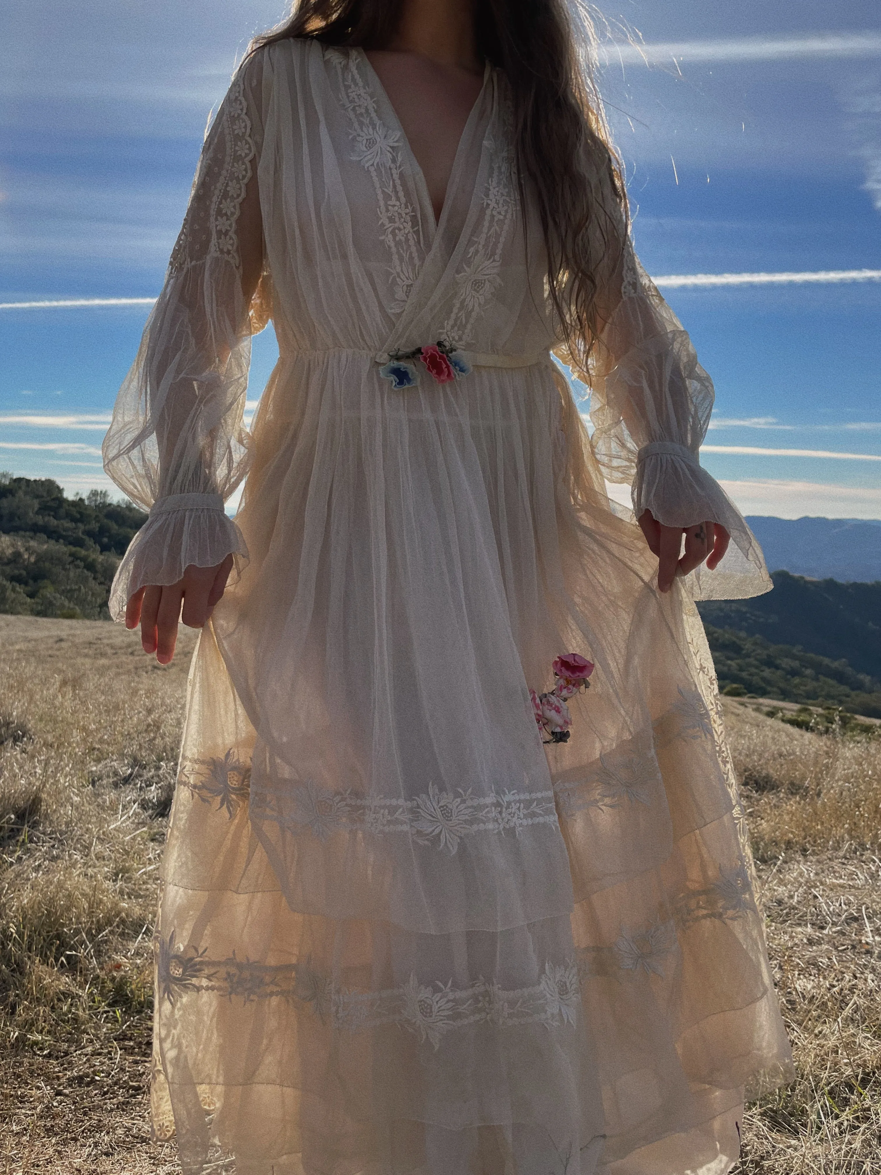 RESERVED Antique 1916 Embroidered Net Hoop Skirt Gown Volup