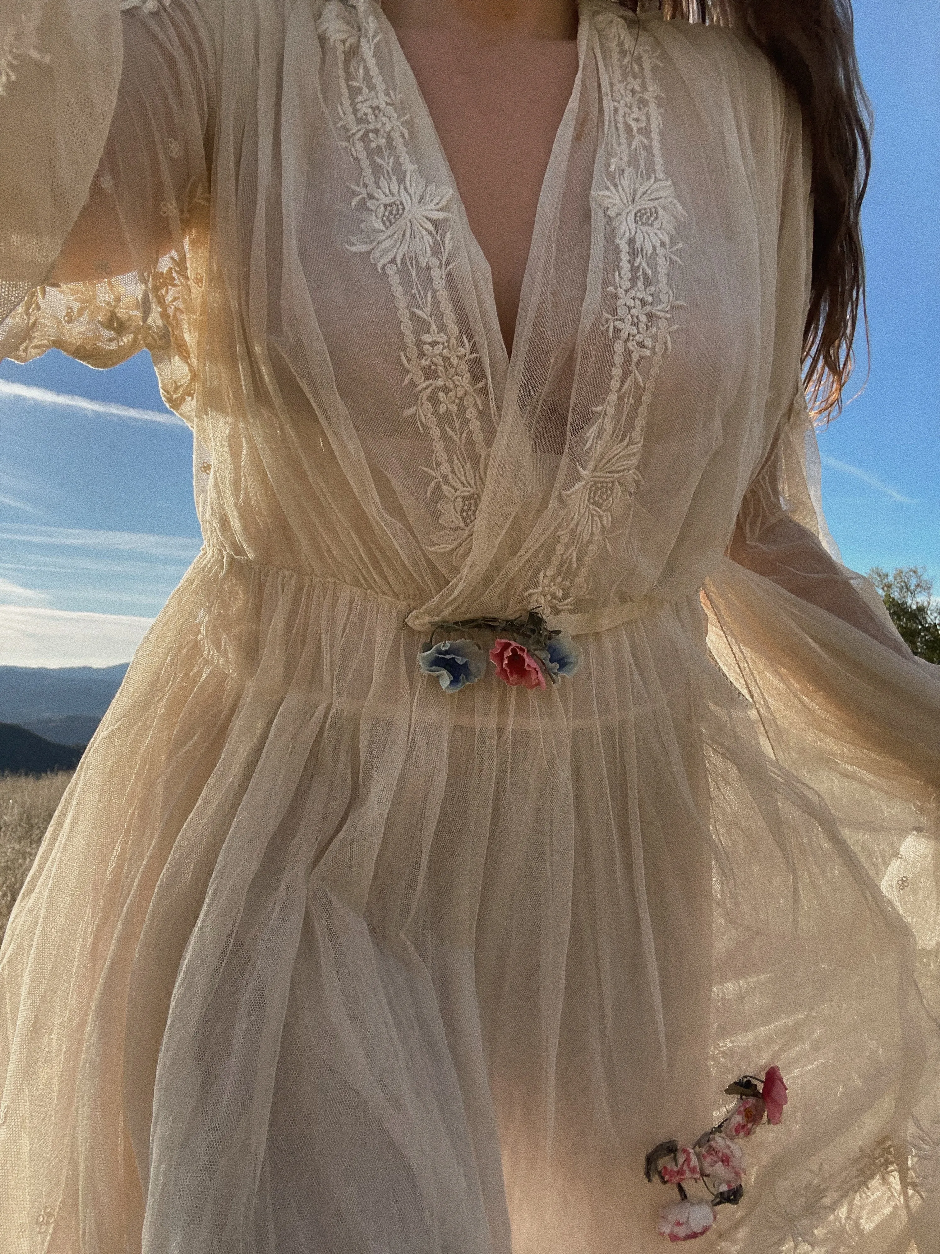 RESERVED Antique 1916 Embroidered Net Hoop Skirt Gown Volup