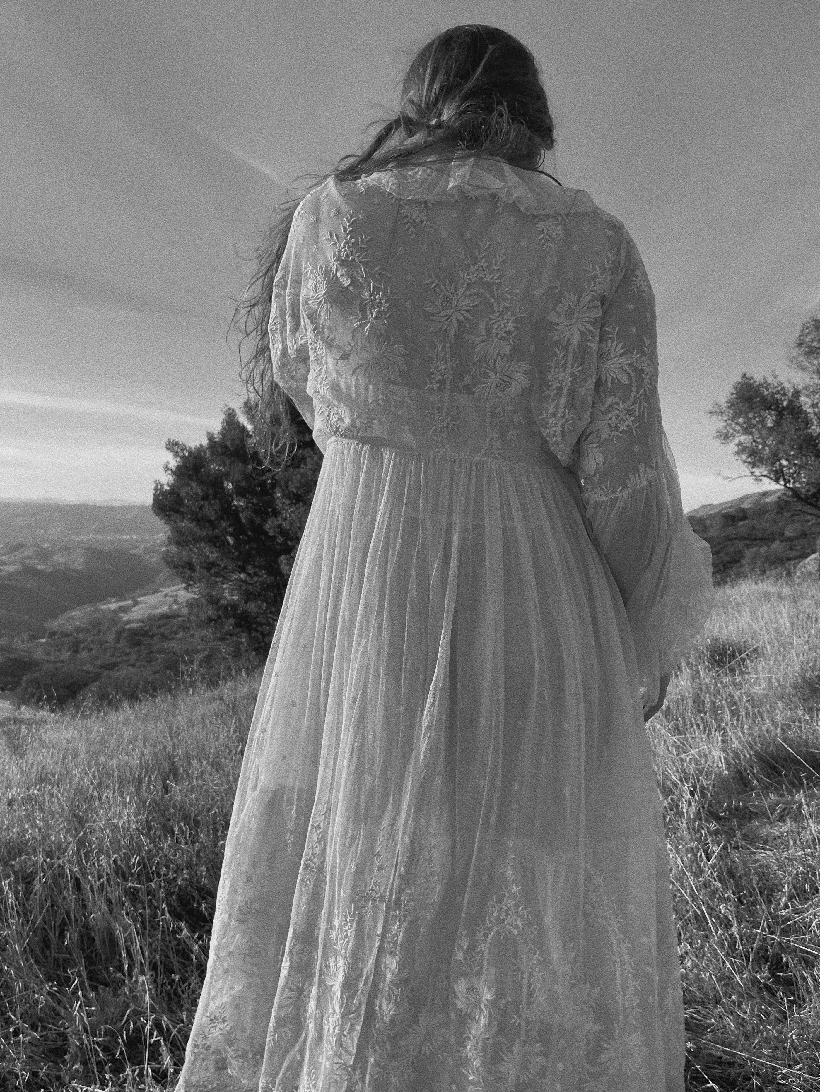 RESERVED Antique 1916 Embroidered Net Hoop Skirt Gown Volup