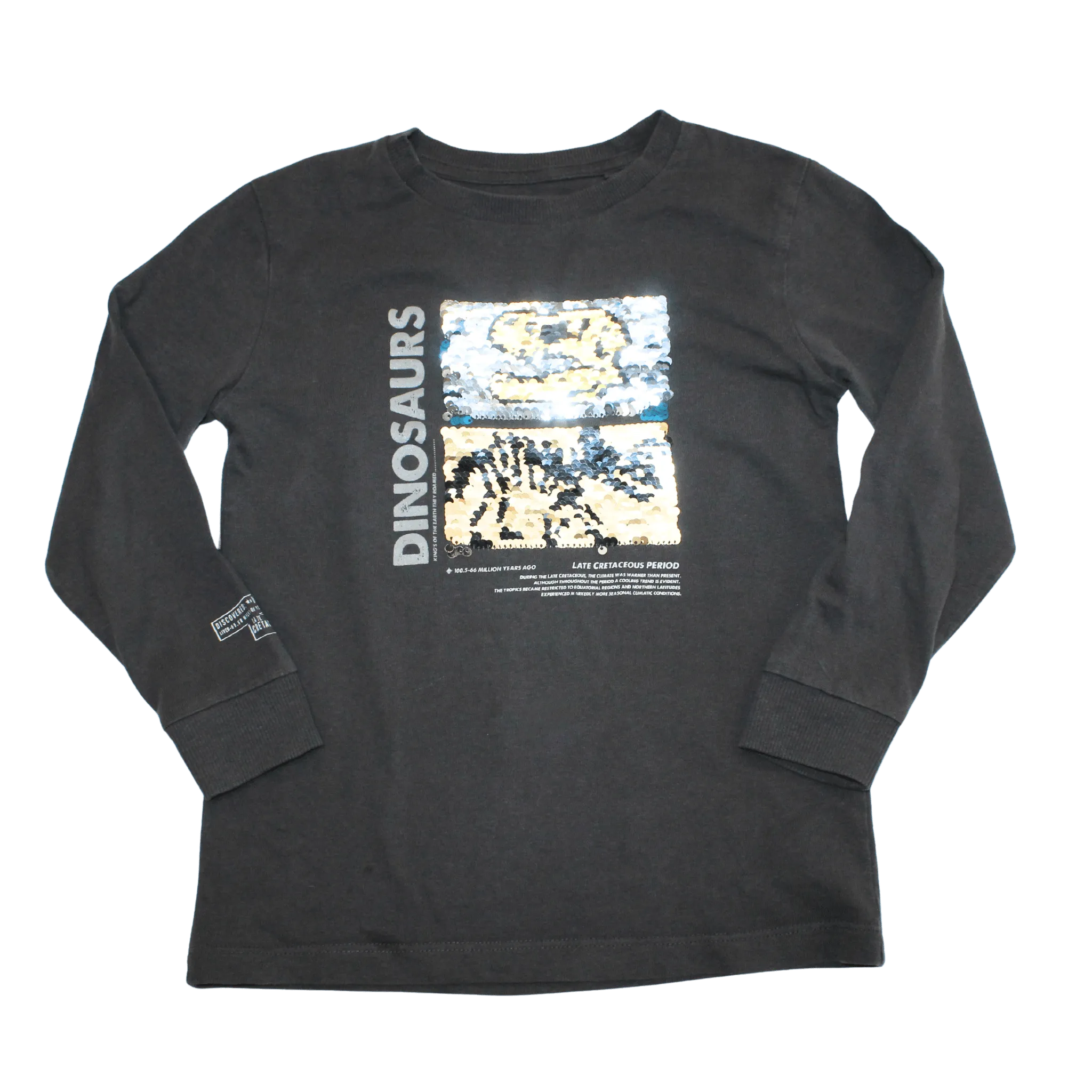 Sequin Dinosaur Tshirt