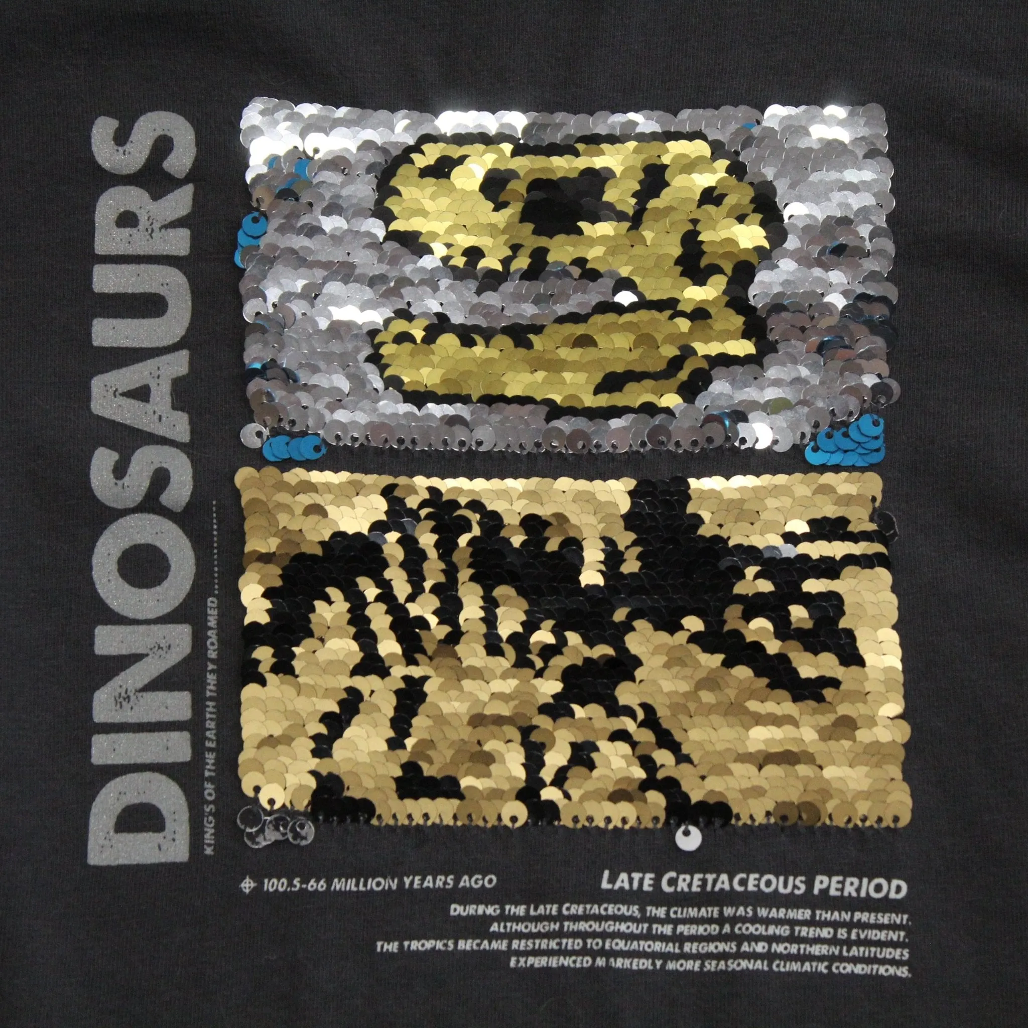 Sequin Dinosaur Tshirt