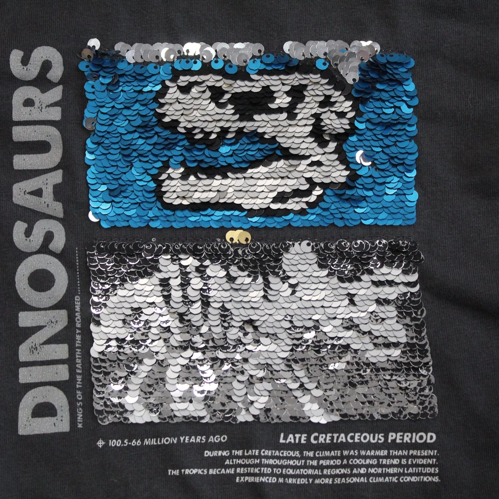 Sequin Dinosaur Tshirt