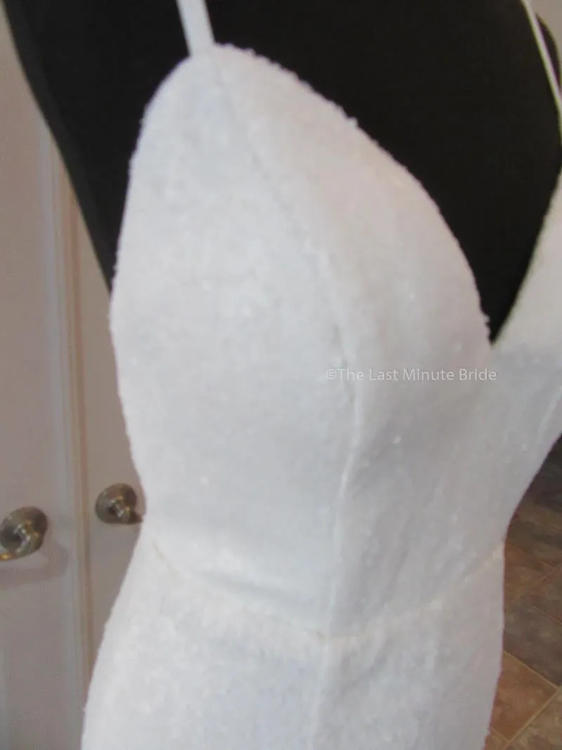 Sofia Cali Style James Sequin Gown