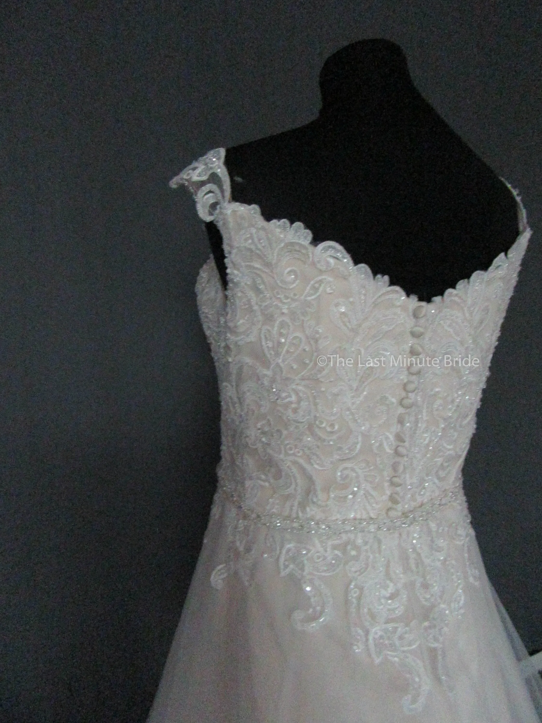 The Last Minute Bride Caroline