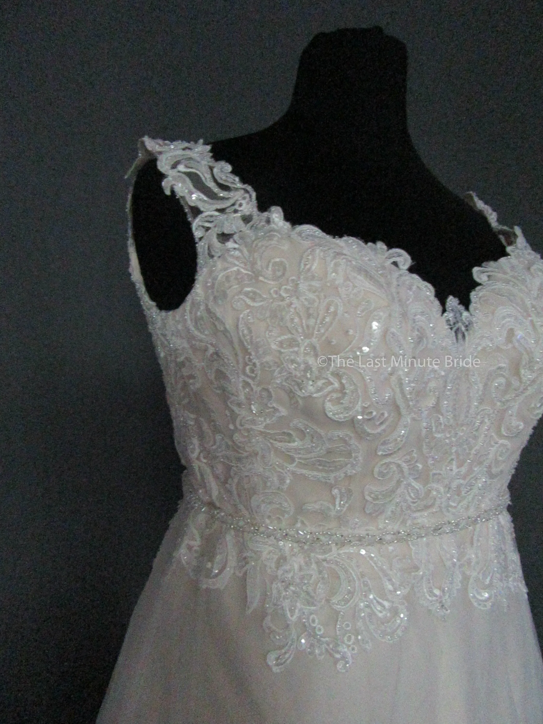 The Last Minute Bride Caroline
